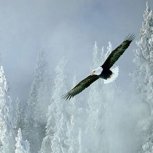 Meet your Posher, Bernie